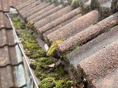 Chigwell gutter cleaning